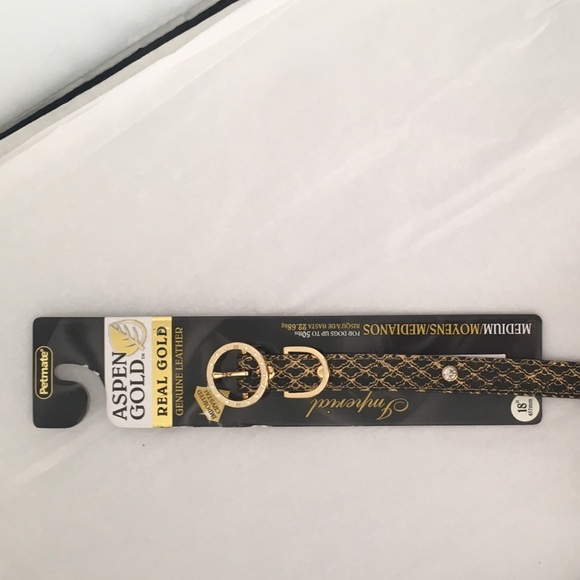 Aspen Gold Black/Gold Collar - Picture 3 of 5